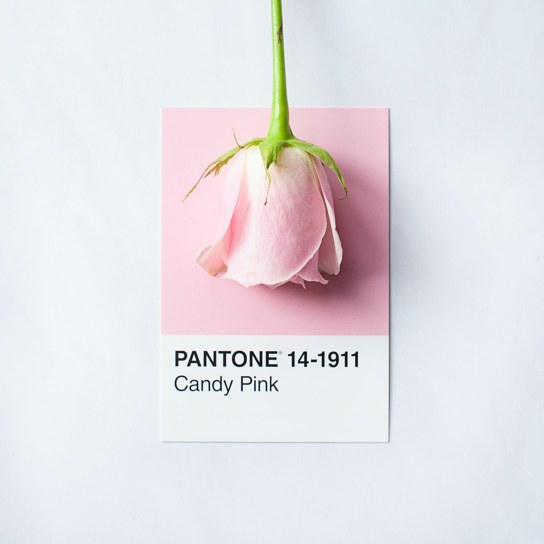 11 Valentines day Balloon gift ideas! ❤
