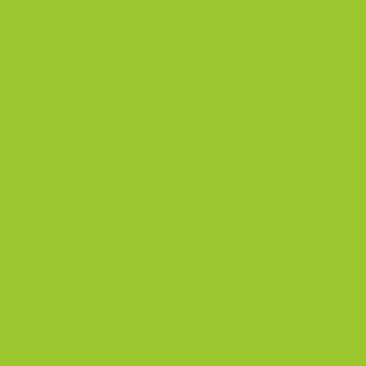 Y06