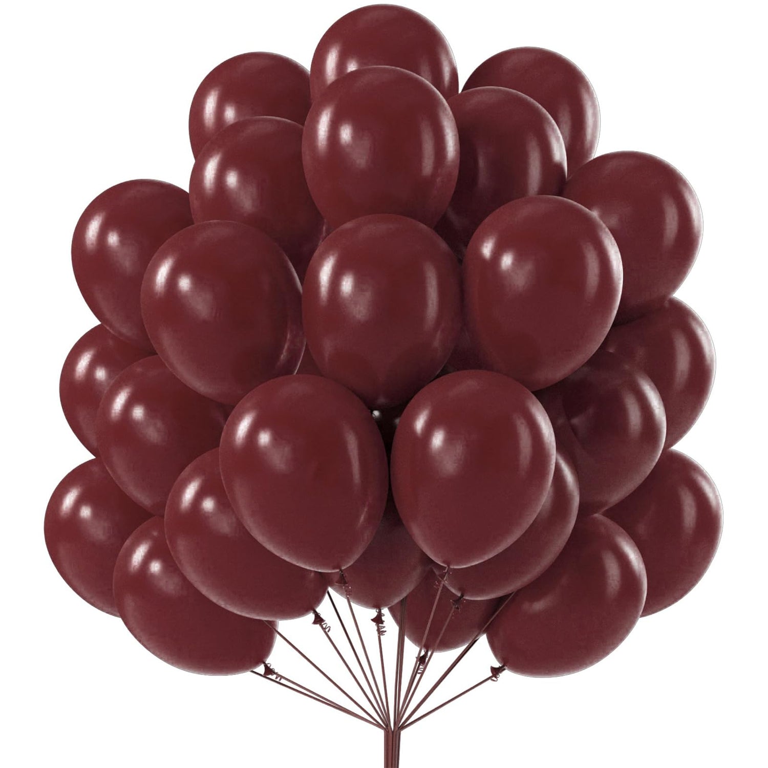 Burgundy-Y62 Balloons 50pcs (12 inch)