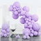 Macaron Purple-Q10 Balloons 100pcs (5/10/12/18 inch)